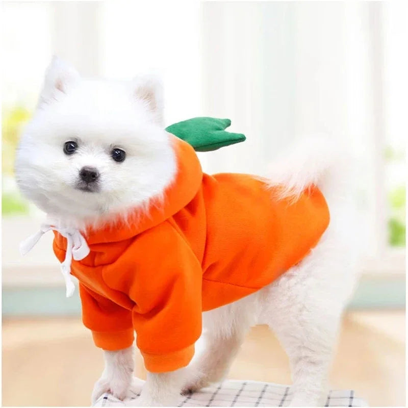 Cute Fruit Dog Clothes for Small Dogs Hoodies Warm Fleece Pet Clothing Puppy Cat Costume Coat for French Chihuahua Jacket Suit